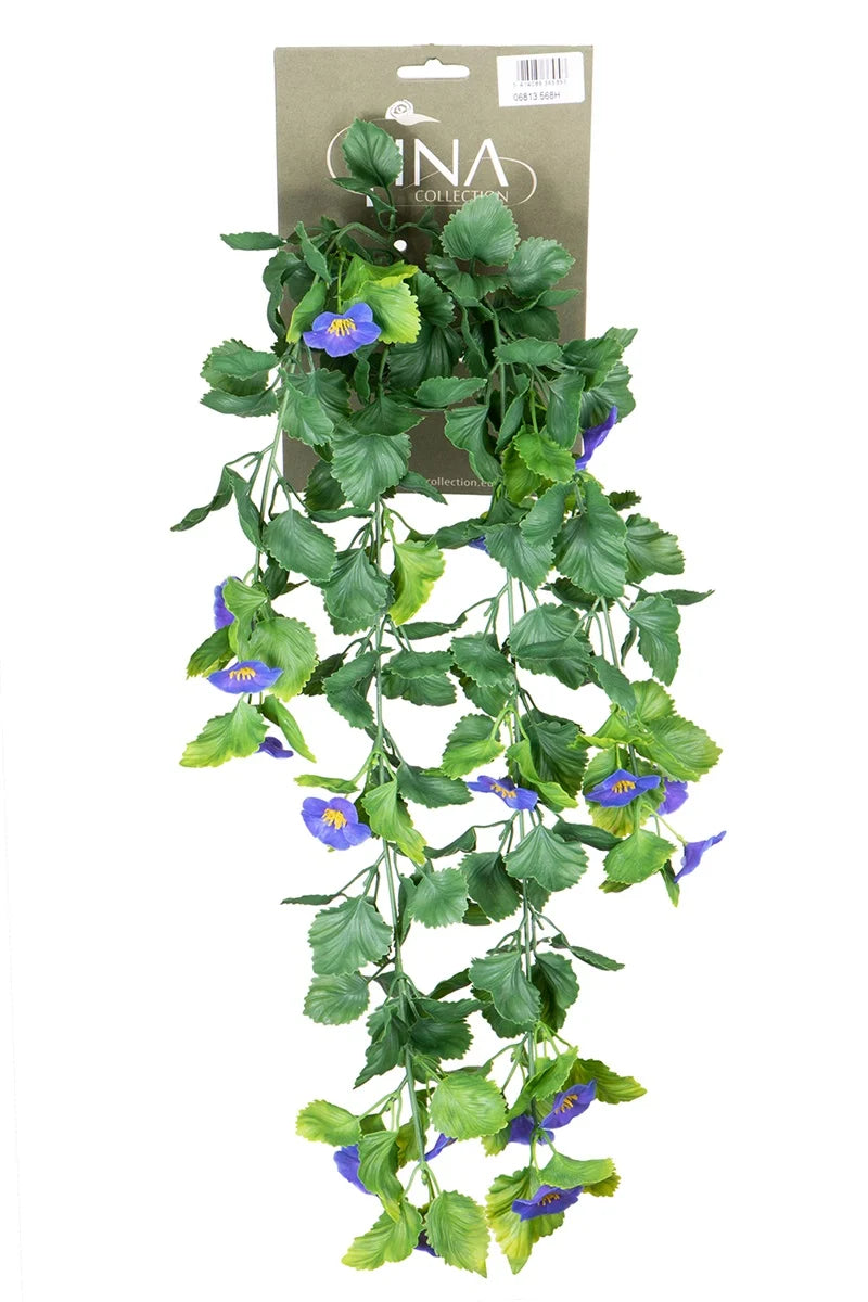 Nemophila