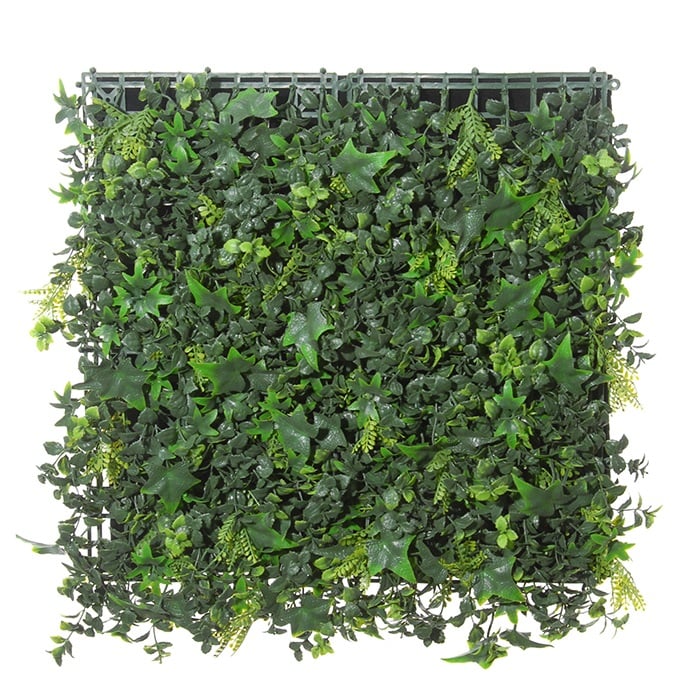 Elément haie - dalles 50cmx50cm