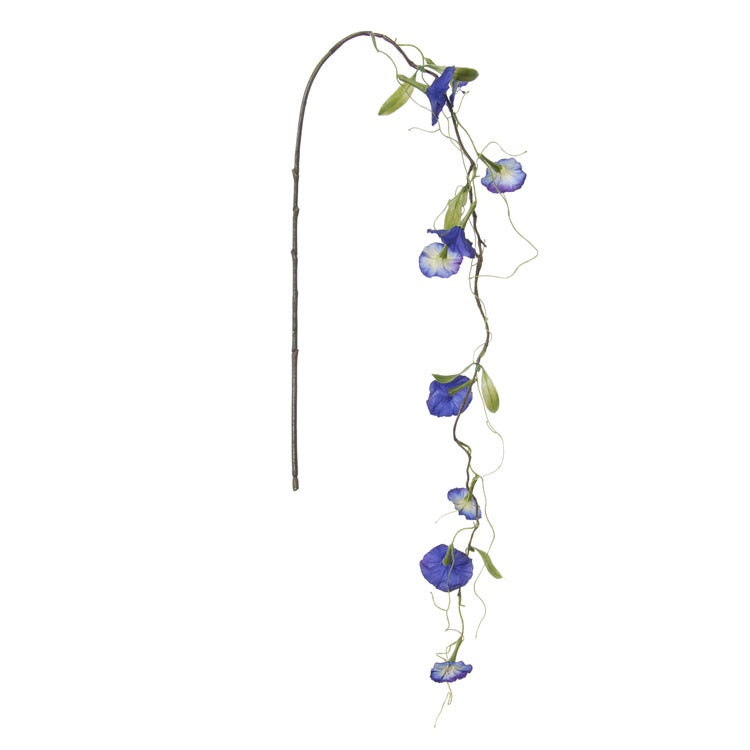 Petunia - branche