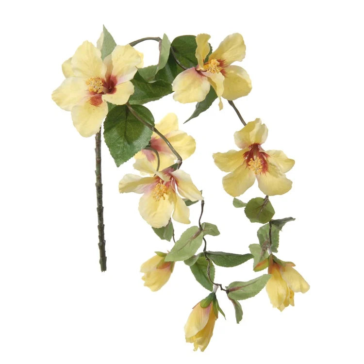 Hibiscus - fleur tombante