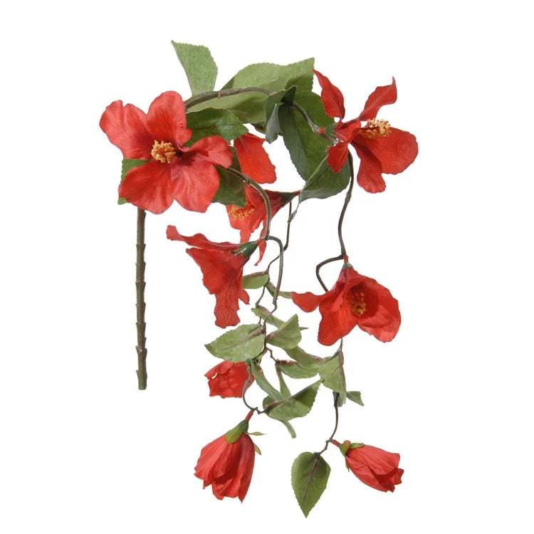 Hibiscus - fleur tombante