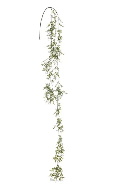Jasmin