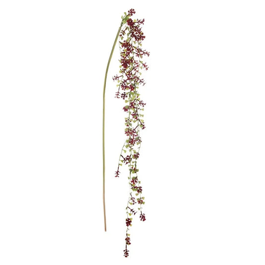 Asparagus