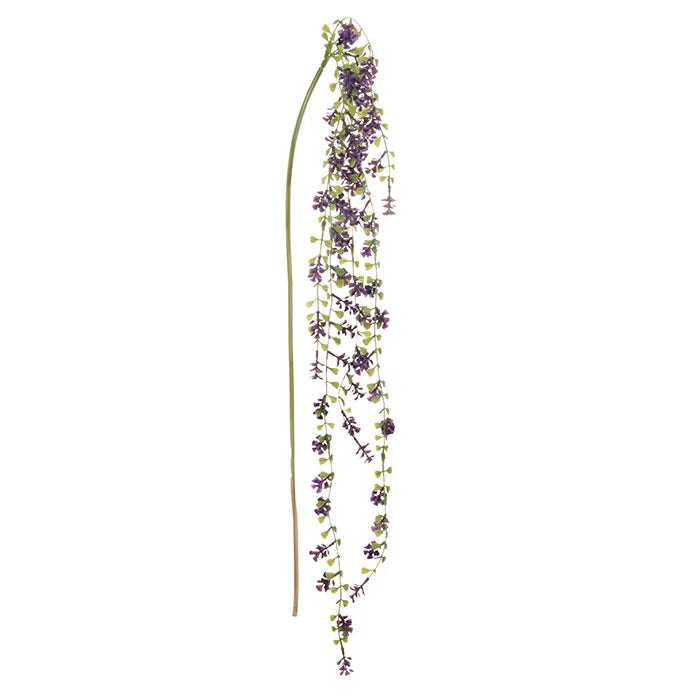 Asparagus
