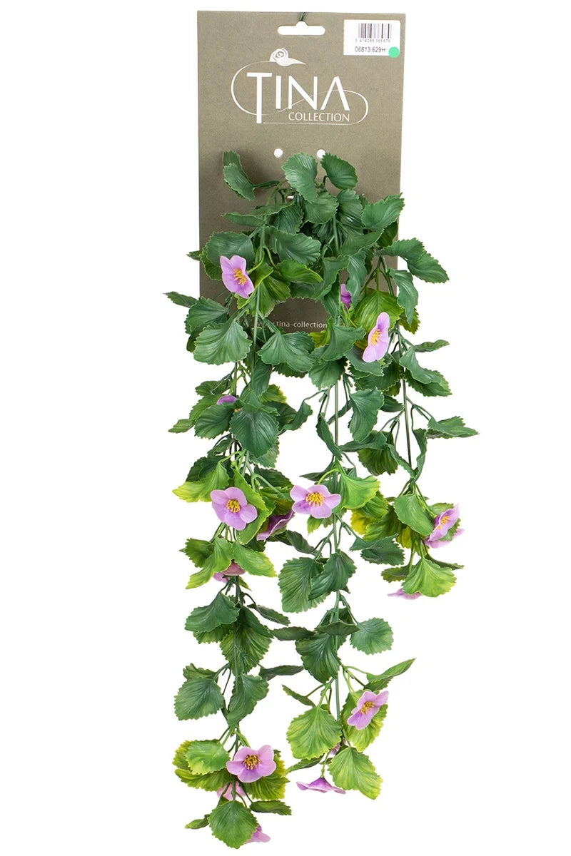 Nemophila