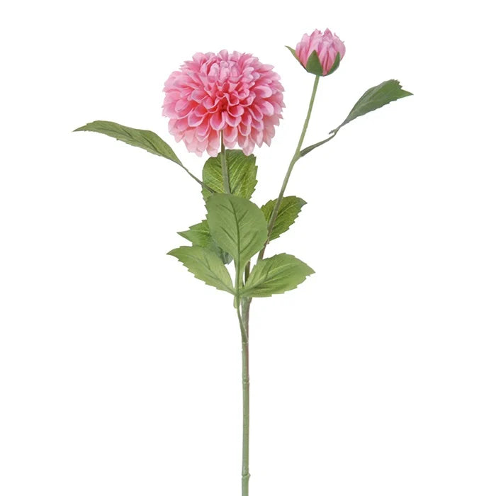 Fleur sur tige - Dahlia