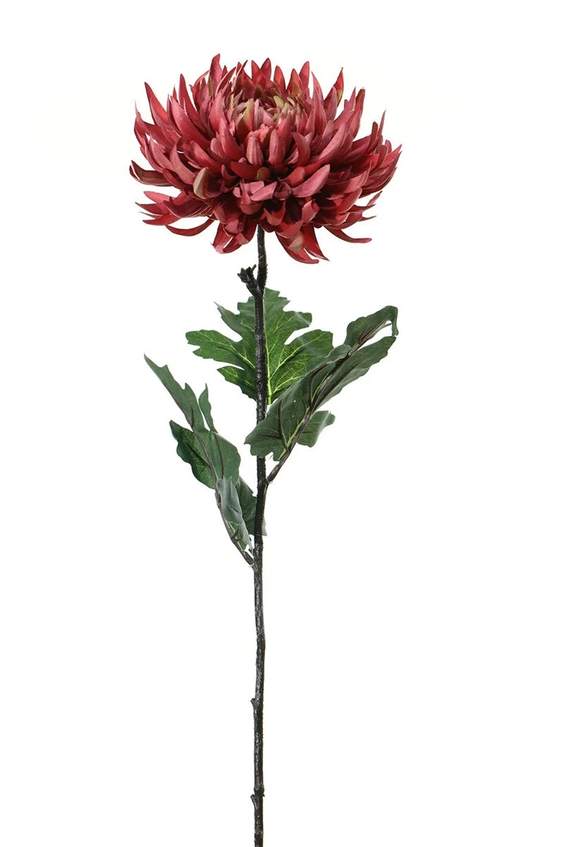 Fleur unique - Chrysanthème