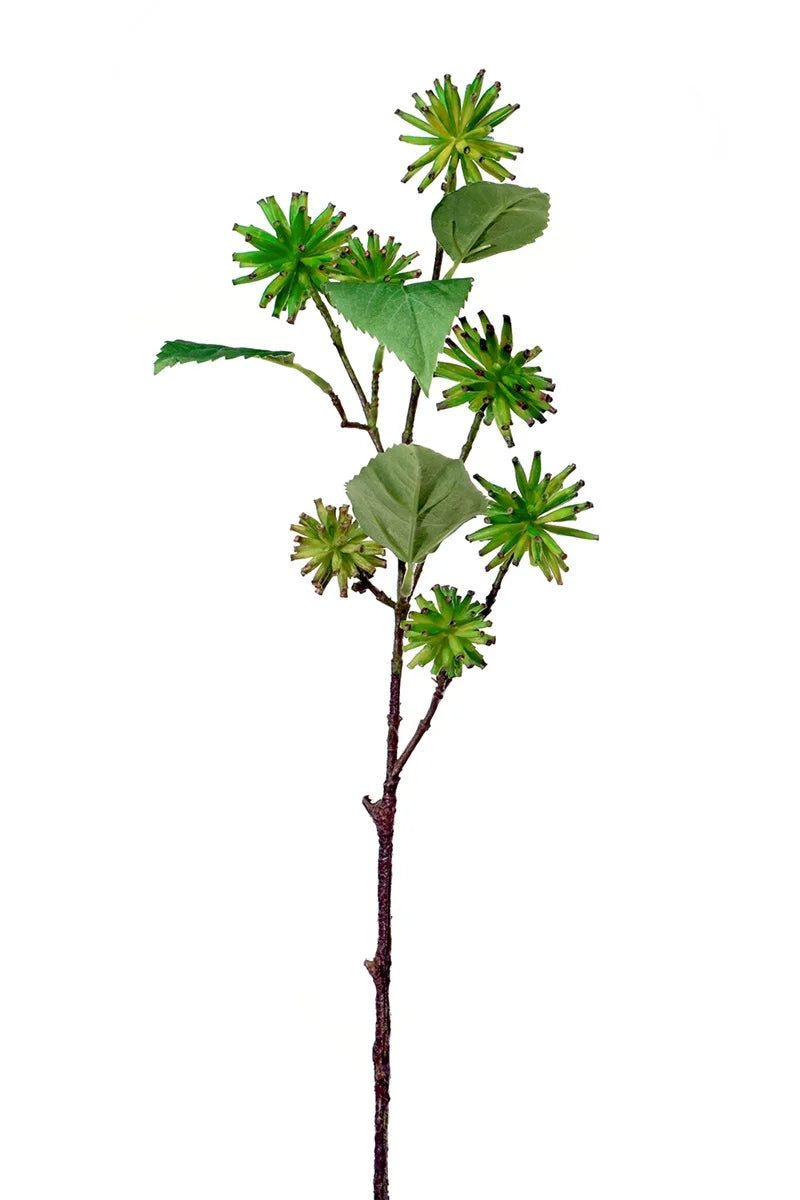Branche - tropical