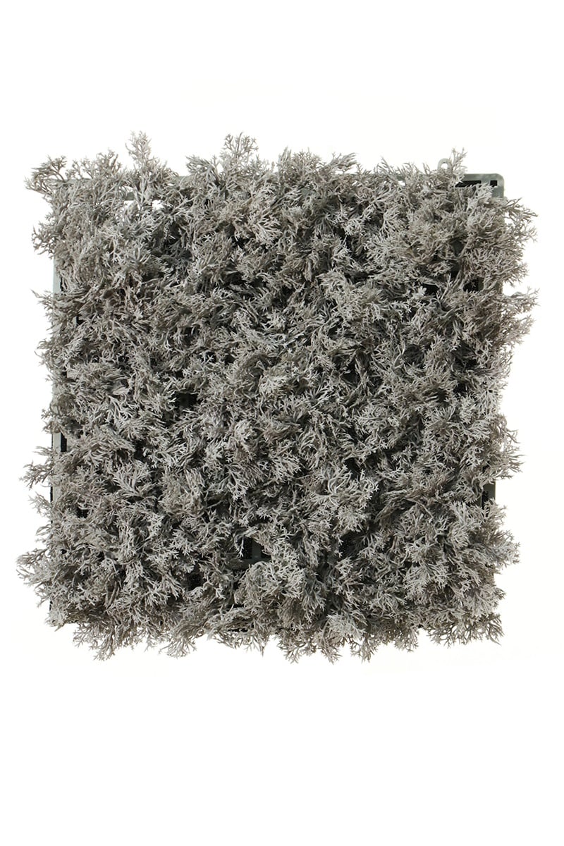 Elément de haie mousse d'Islande