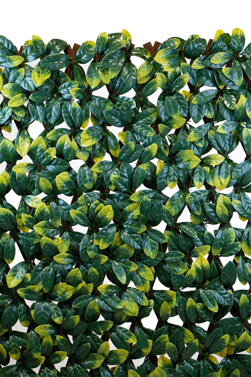 Elément haie - dalle extensible