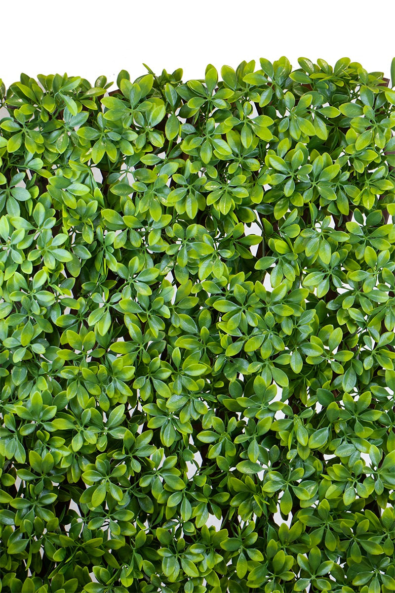 Elément haie - dalle extensible