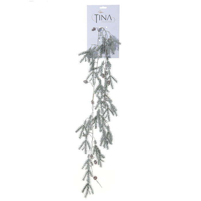 Cèdre neige - tombant