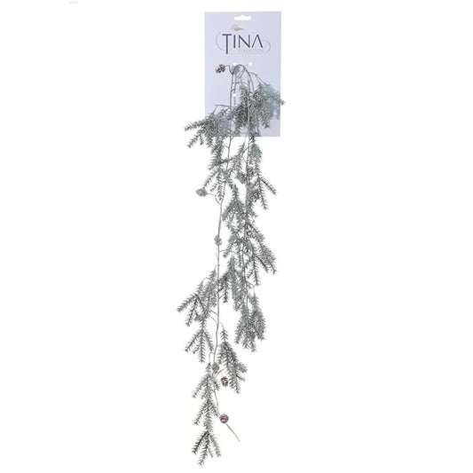 Cèdre neige - tombant