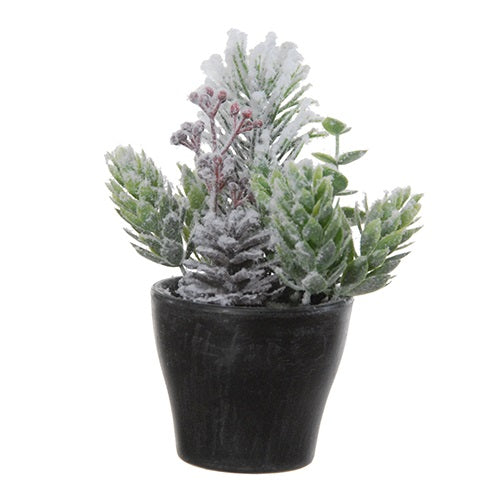 Pin baies - 13 cm