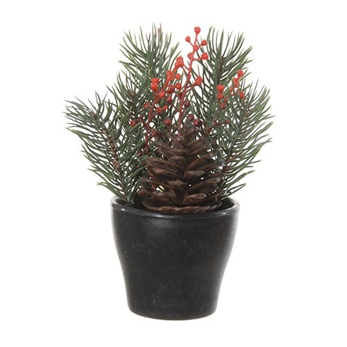 Pin baies - 13 cm