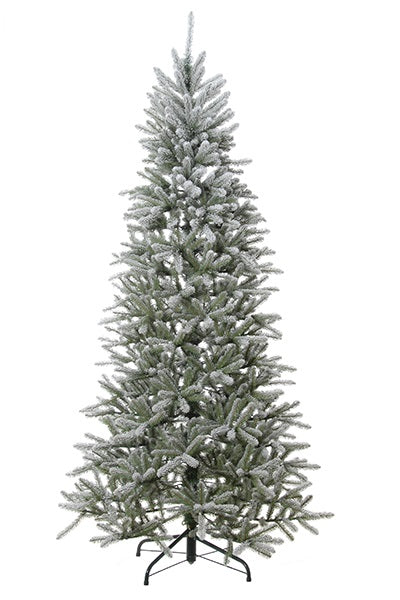 Arbre de Noël - Silverado