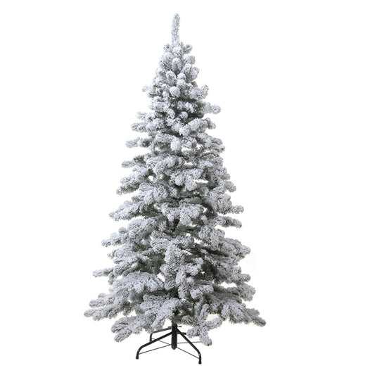 Sapin Waipu