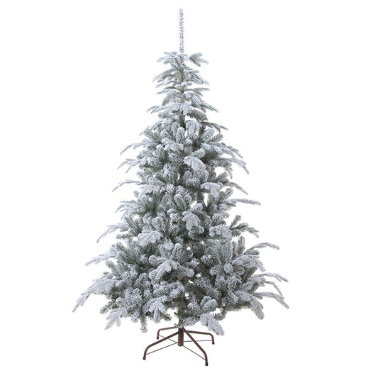 Sapin Oslo