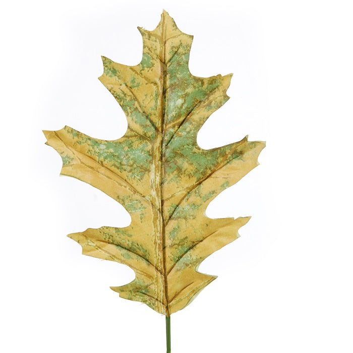 Feuille de chêne