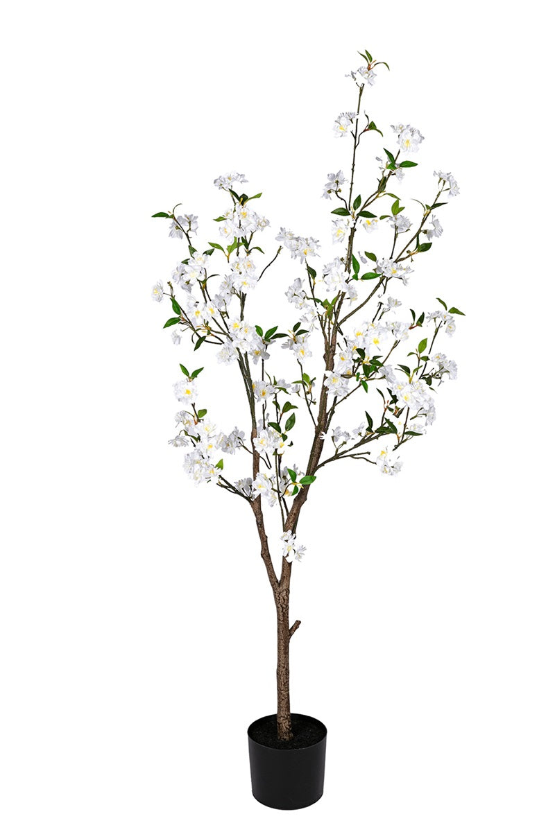 Cerisier - blanc/rose