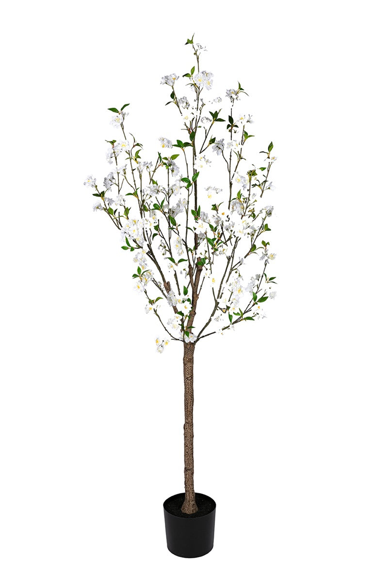 Cerisier - blanc/rose