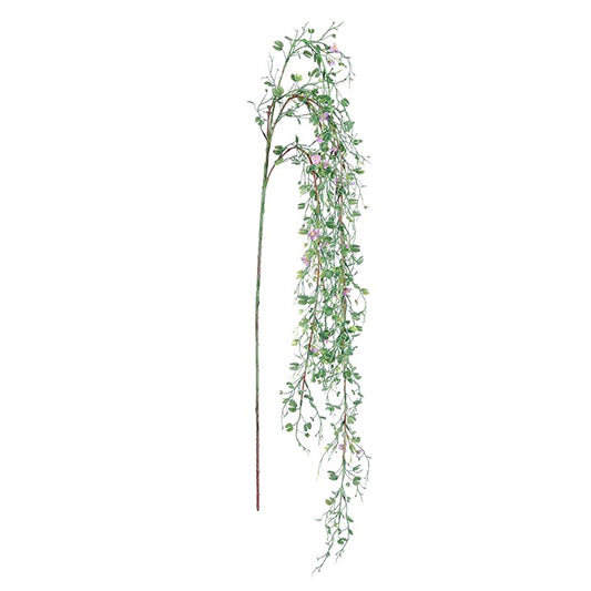 Branche Bauhinia