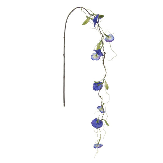 Petunia - branche