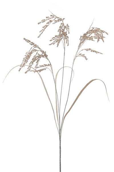 Branche de grains